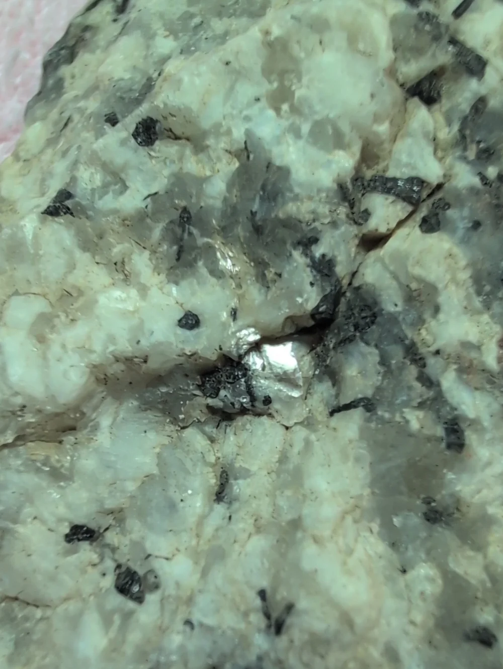 Black Tourmaline In Quartz #4